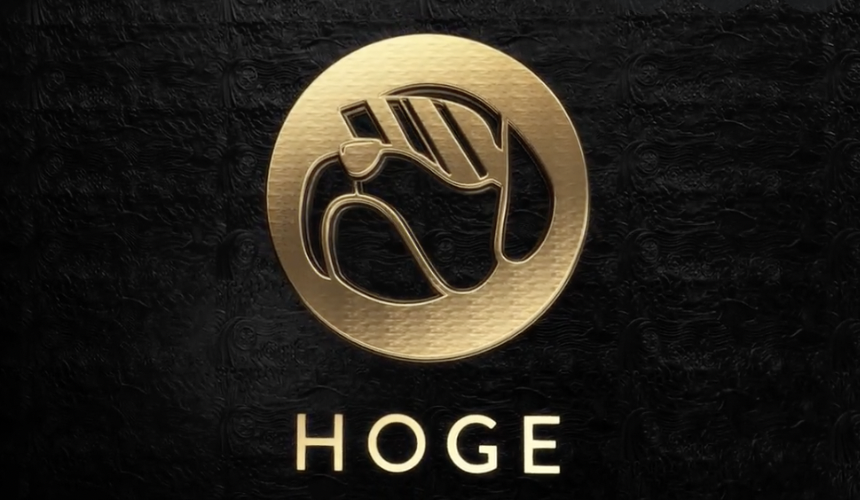 buy hoge coin