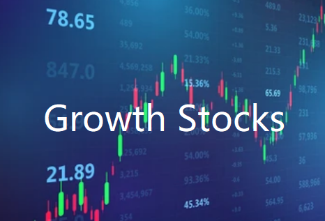 Top 10 Fastest Growing Stocks in India in 2023 | TOP1 Markets