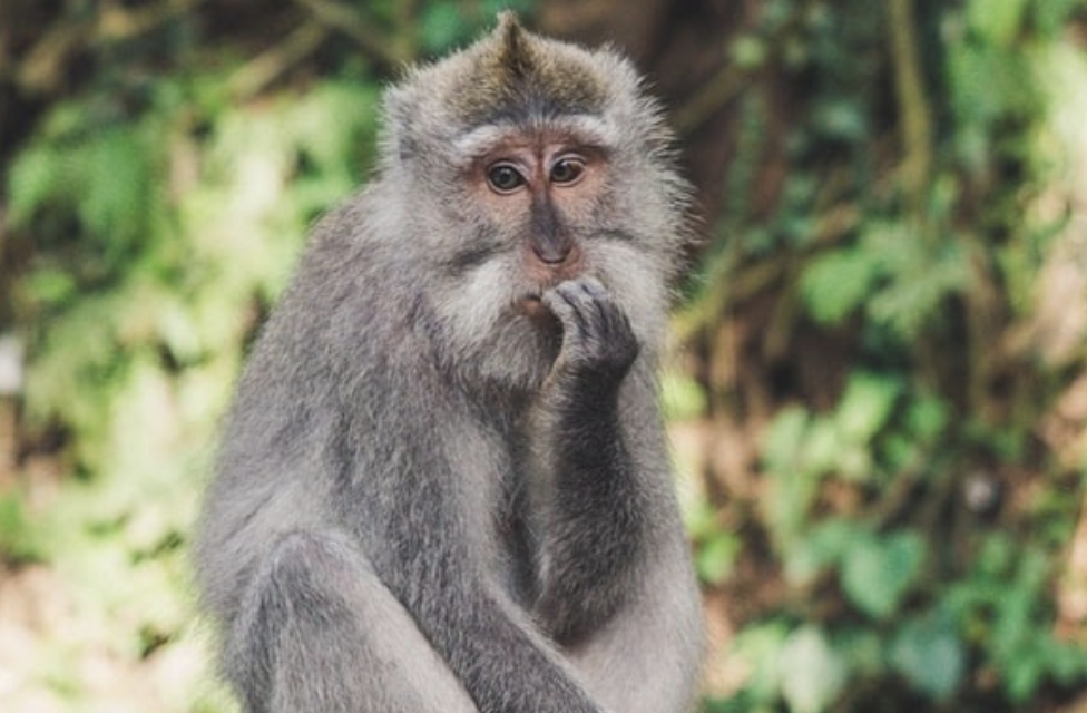 1642044609605355.png image.png