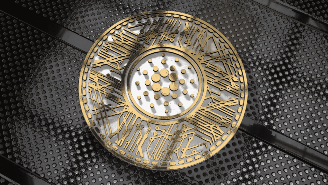 1647831731859263.png image.png