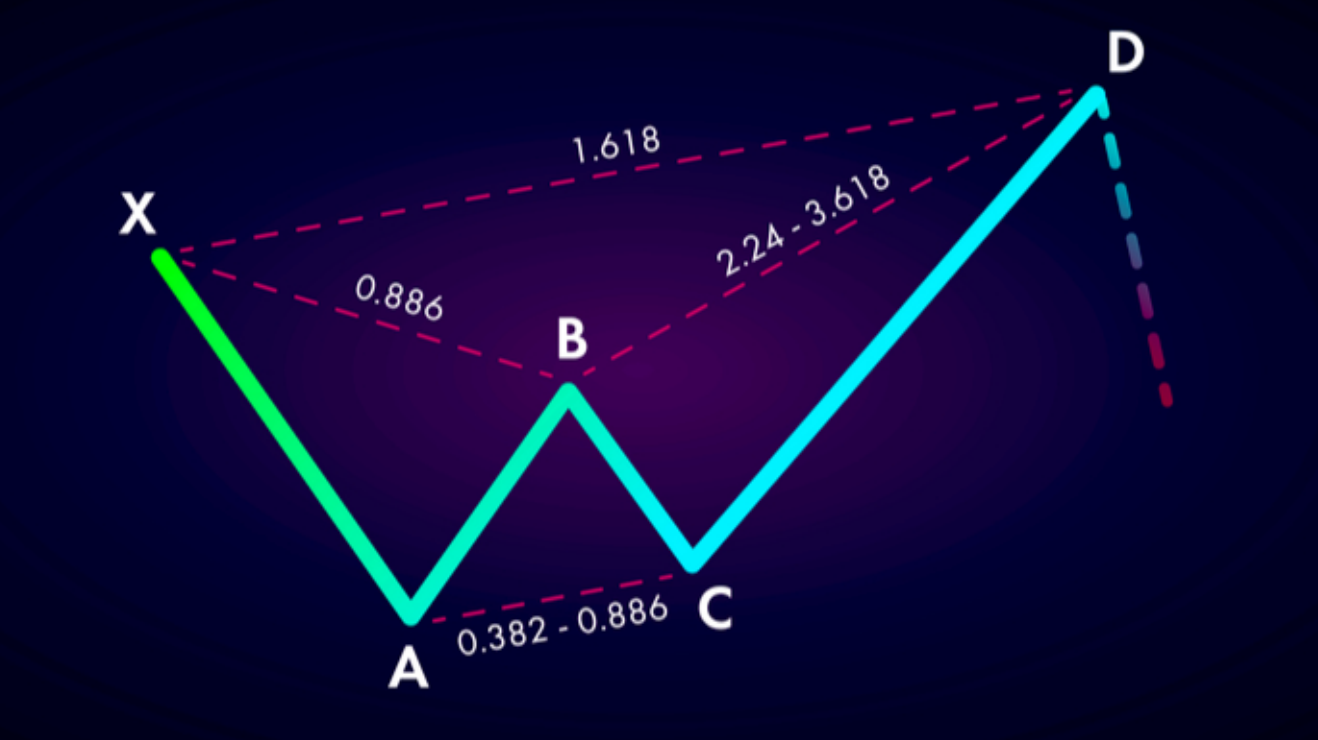 截屏2022-03-29 上午9.38.09.png