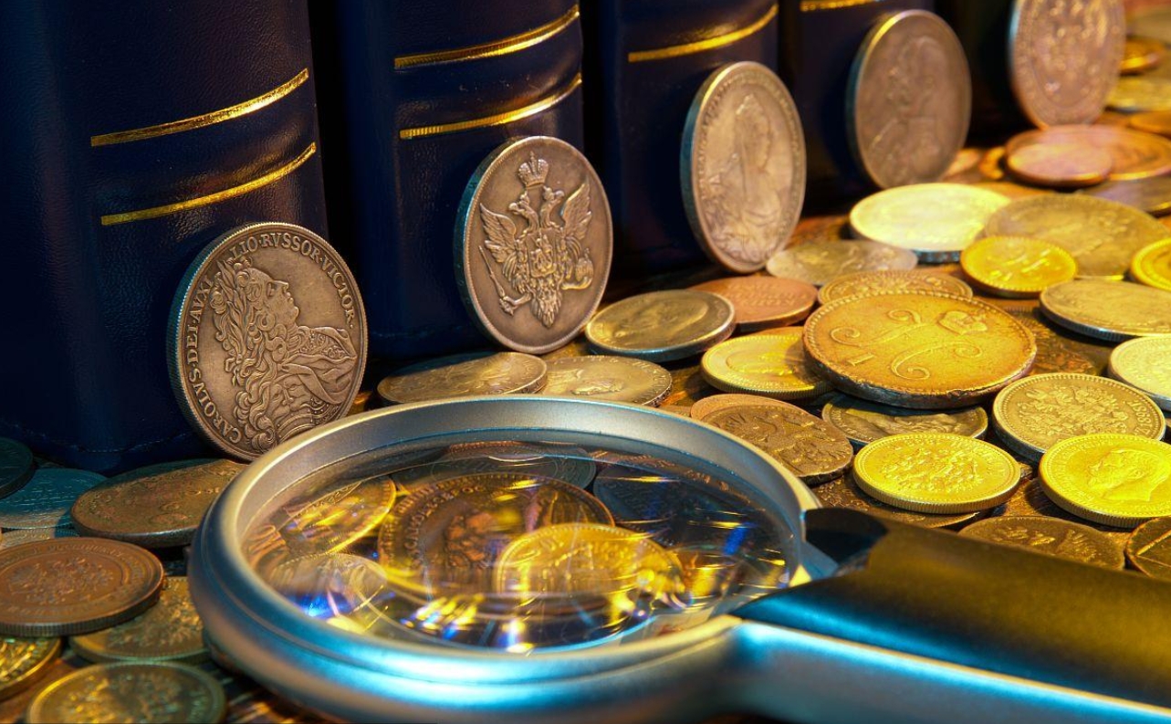 1648627491279671.jpg 1648627491279671.jpg