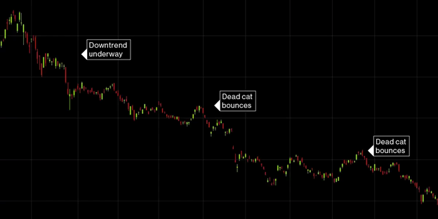 1654150663803697.png 图片3.png