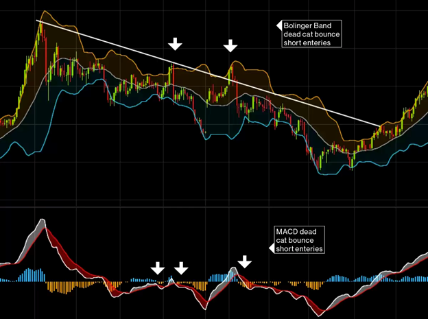 1654150881376553.png 图片5.png