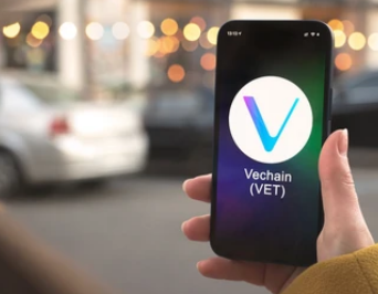 1655971735383258.png 34.png