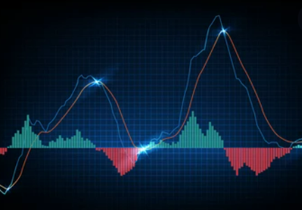 1657683946580886.png 22.png