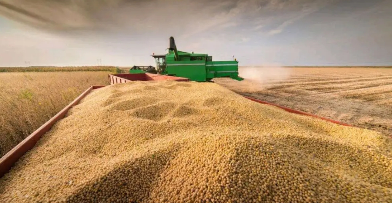 1660272897833904.jpg 1660272897833904.jpg