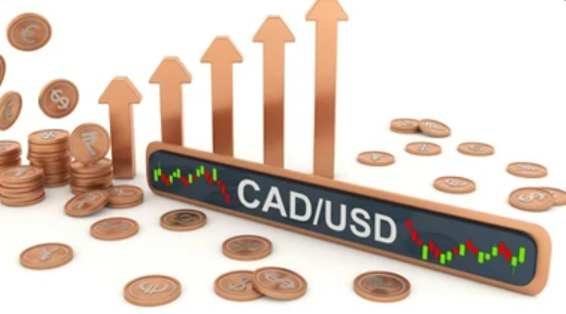 1662364150788713.png 13.png