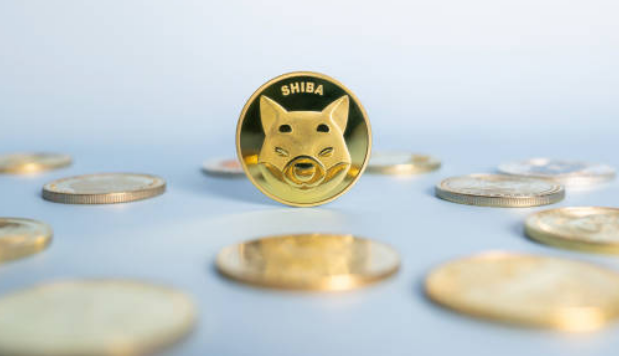 1665214494777304.png 24.png