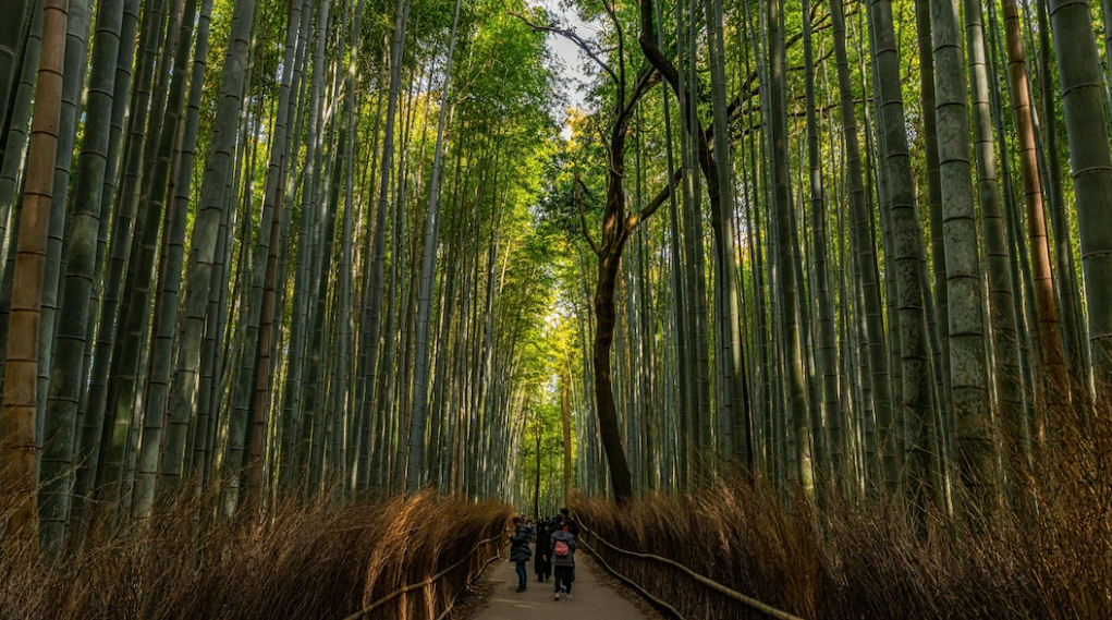 1665220146326442.png 微信截图_20221008164627.png