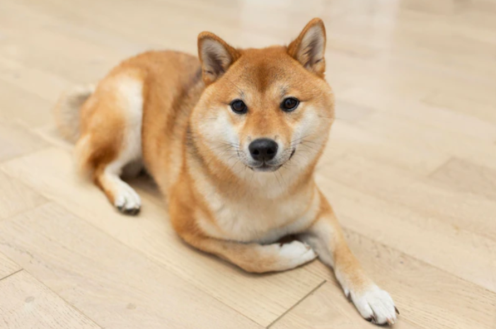 1670579003999673.png 微信截图_20221209172347.png