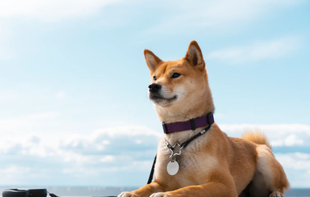 1670579147640121.png 微信截图_20221209172359.png