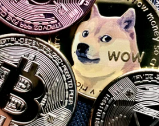 1671440715259505.png 50.png