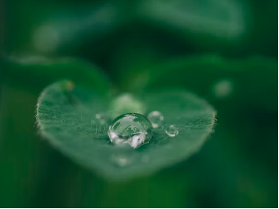 1673424324454313.png 微信截图_20230111153956.png