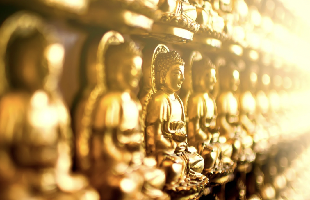 1683269114944293.png image.png