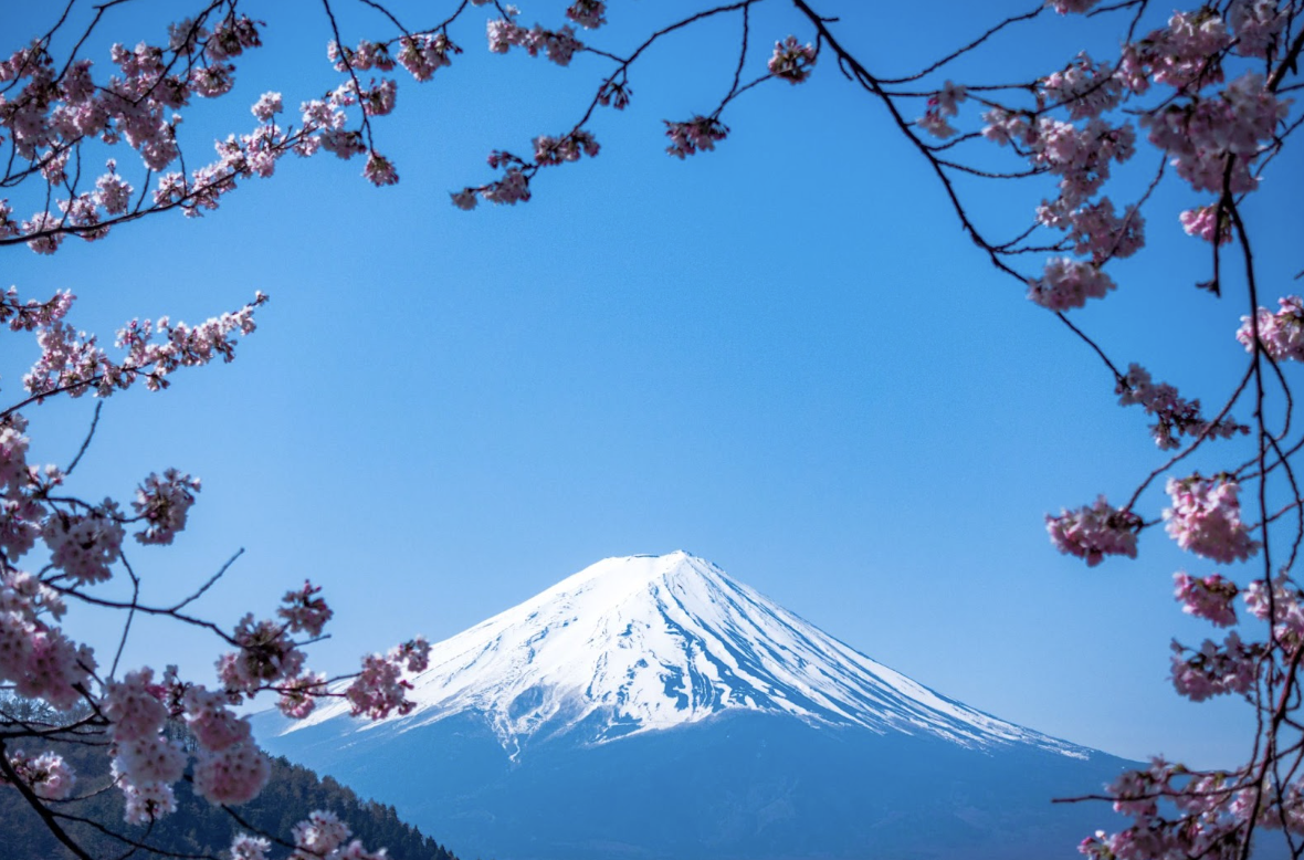 1684742727595922.png image.png