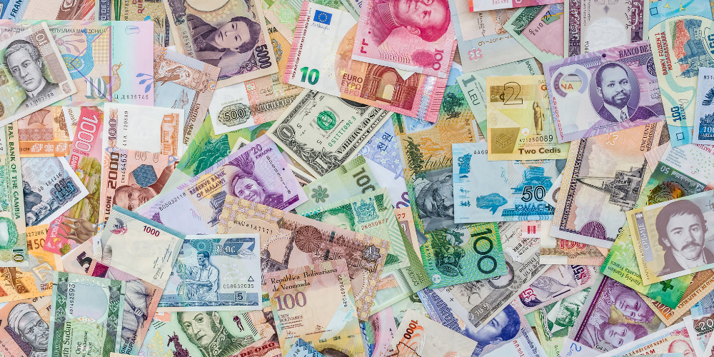 1695637567650196.png sndjcn.png