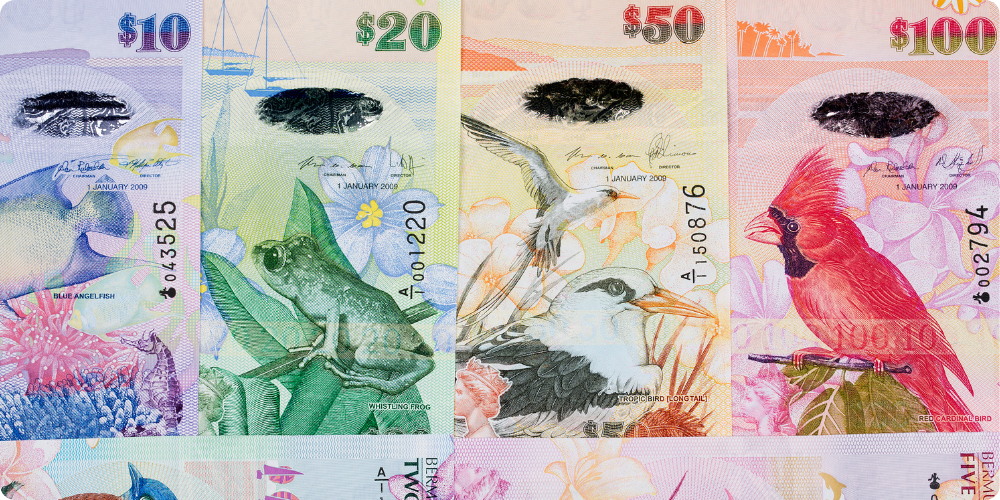 1705041528553646.png Bermudian dollar.png