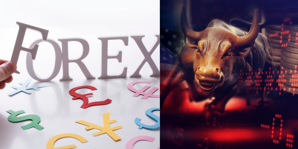 1711088293331490.png forex and stock.png