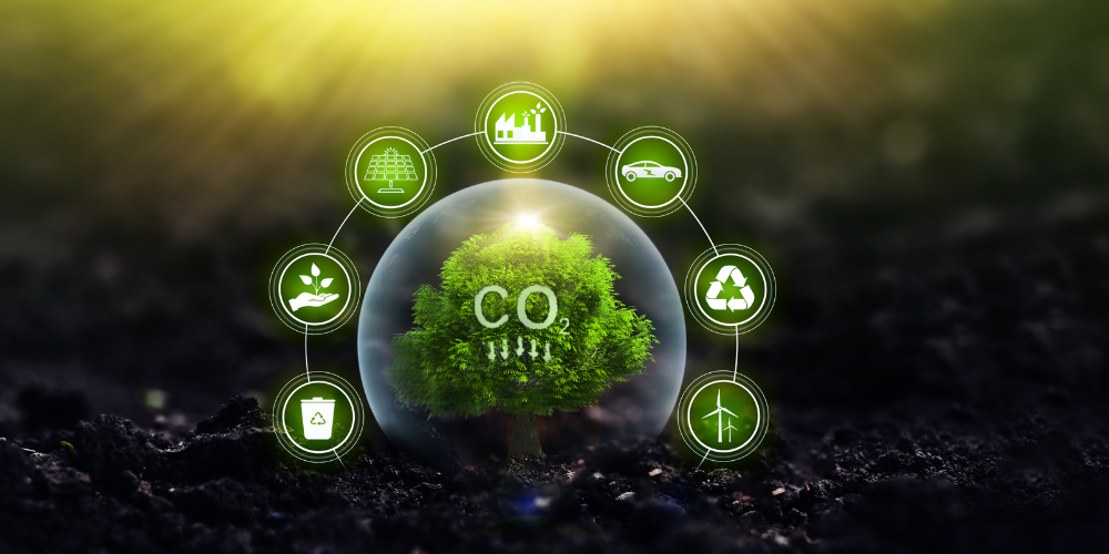 1711424955989429.png carbon emissions right.png