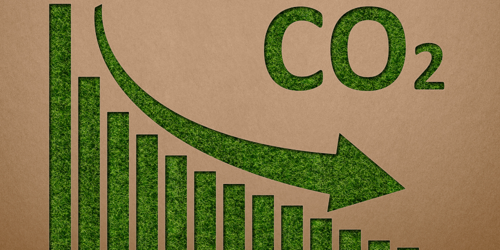 1711425067355014.png carbon emissions rights (1).png