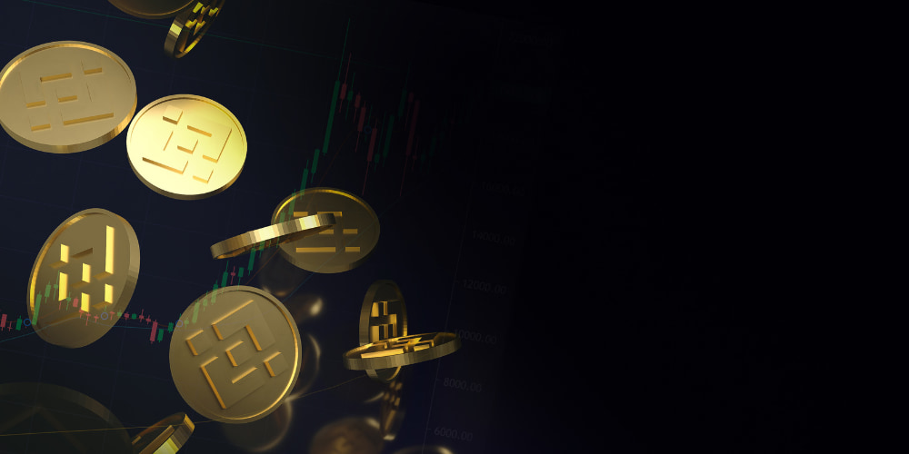 Binance Coin (BNB) Binance Coin (BNB)