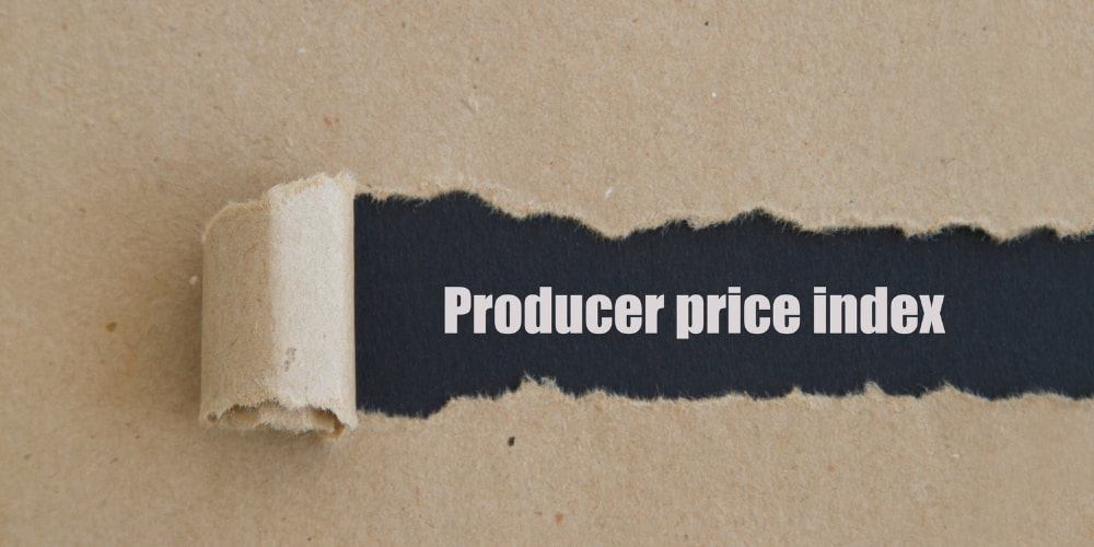 producer price index producer price index