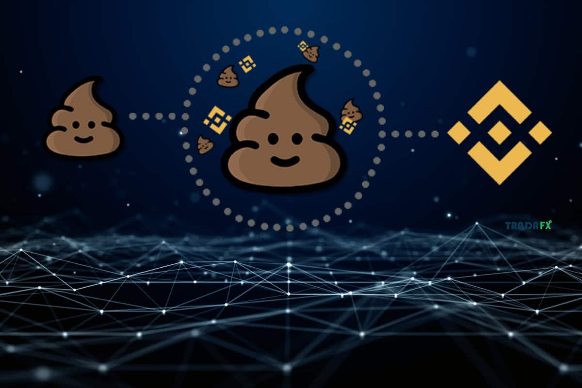 投資 PooCoin 代幣的風險 投資 PooCoin 代幣的風險