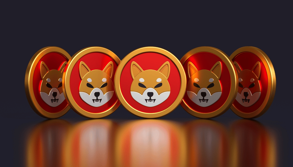 Shiba Inu