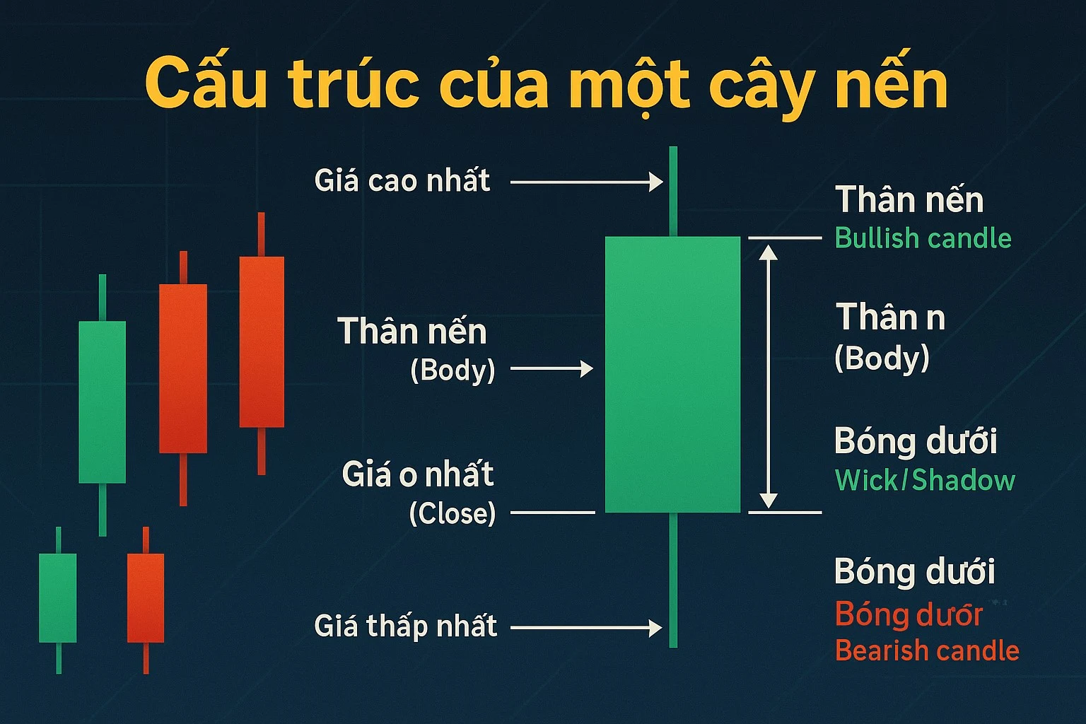 Cau truc cua mot cay nen.webp