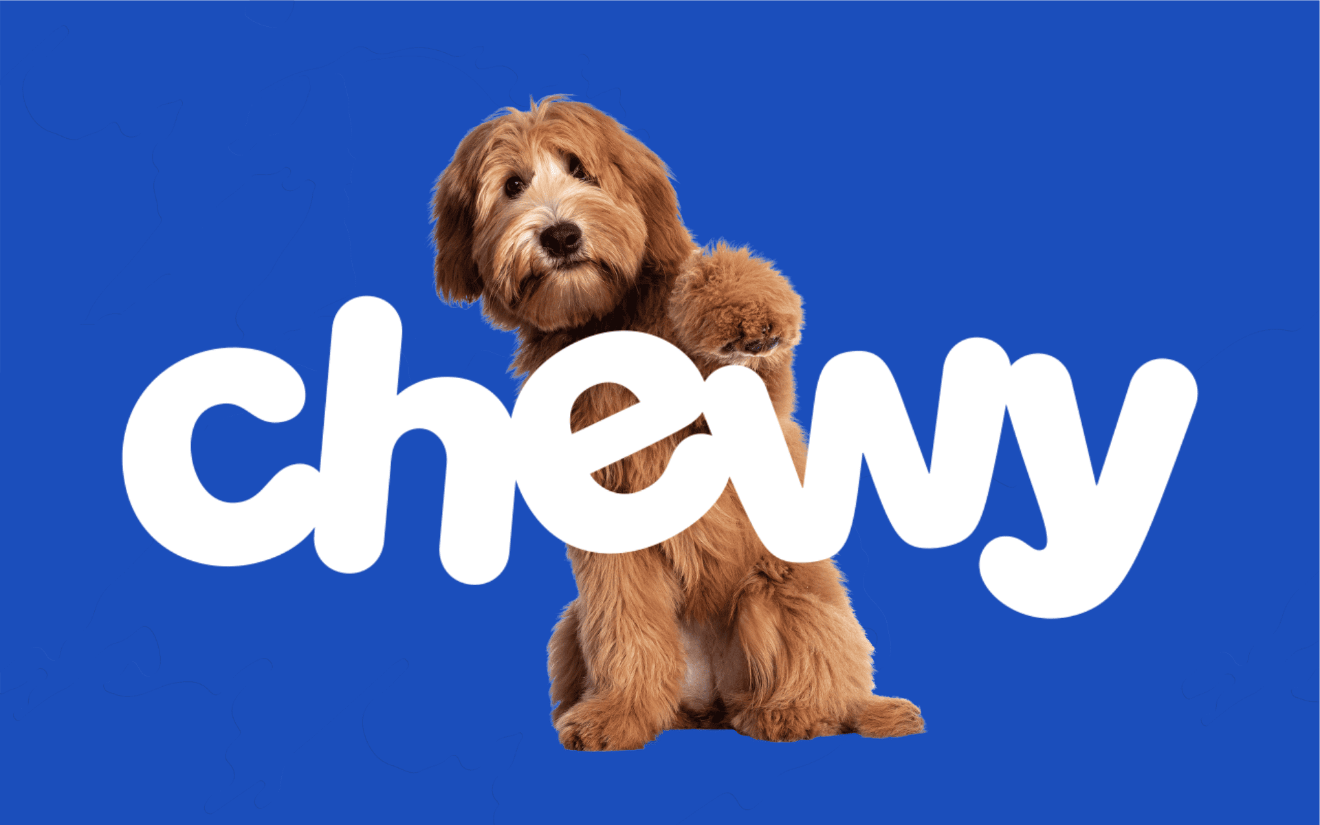 Chewy stock.png Chewy stock.png