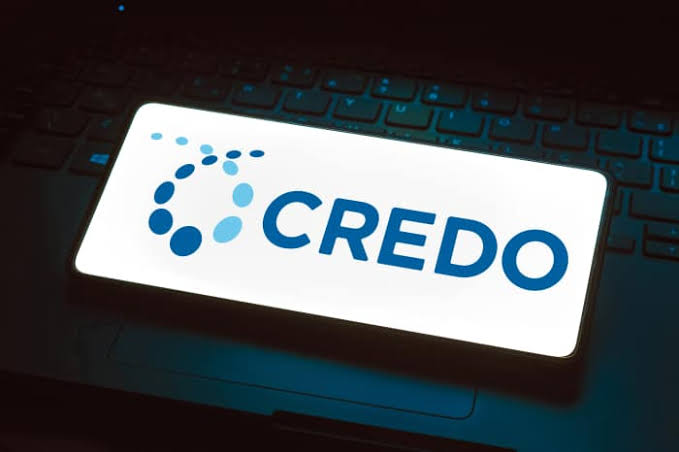 credo technology crdo stock earnings analysis.jpg